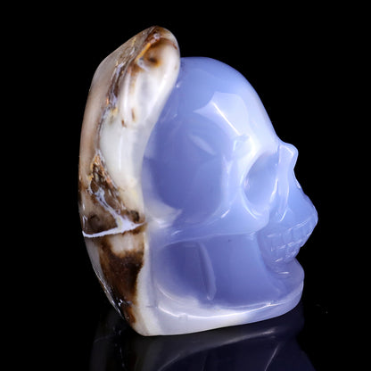 2.4" Blue Chalcedony Hand Carved Mineral Specimen Skull Sculpture Crystallumi