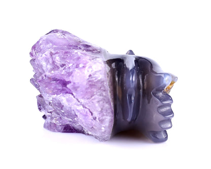 2.5" Amethyst Druse Agate Hand Carved Crystal Dragon Skull Sculpture Crystallumi