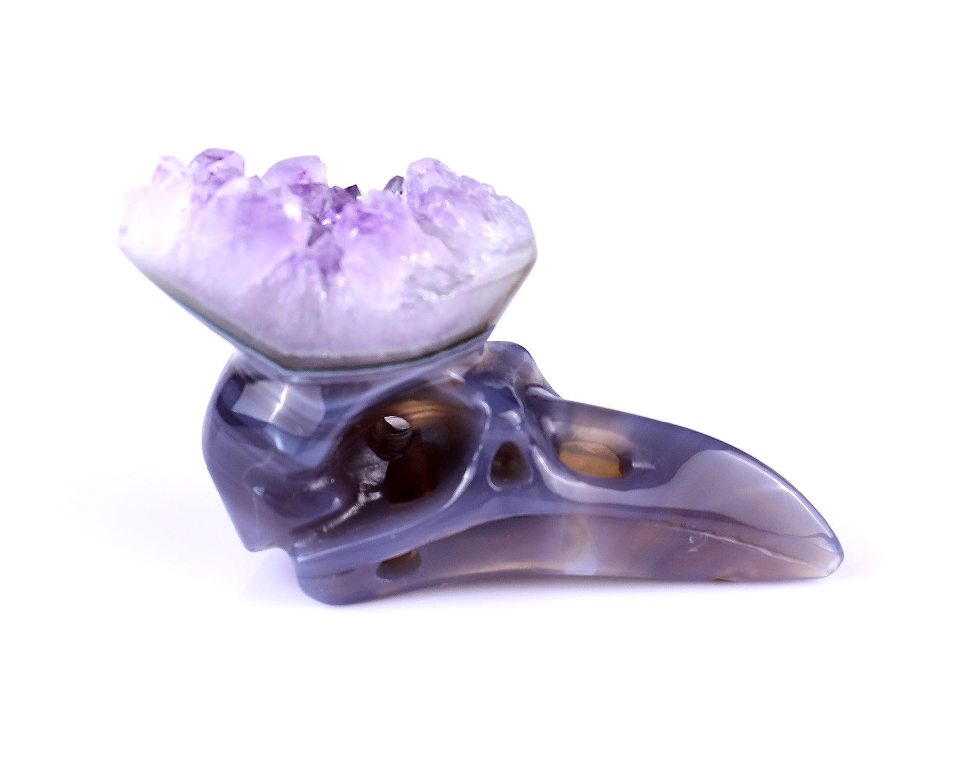 2.5" Amethyst Druse Agate Hand Carved Crystal Raven Skull Sculpture Crystallumi