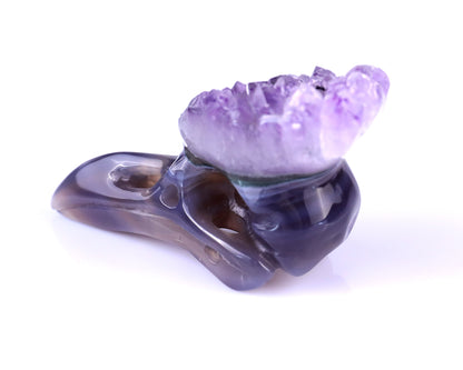 2.5" Amethyst Druse Agate Hand Carved Crystal Raven Skull Sculpture Crystallumi