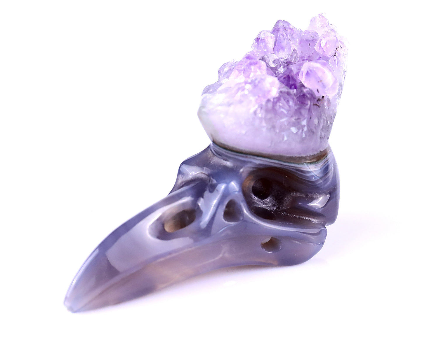 2.5" Amethyst Druse Agate Hand Carved Crystal Raven Skull Sculpture Crystallumi