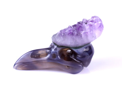 2.5" Amethyst Druse Agate Hand Carved Crystal Raven Skull Sculpture Crystallumi