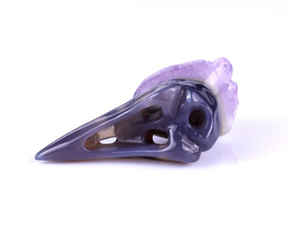 2.5" Amethyst Druse Agate Hand Carved Crystal Raven Skull Sculpture Crystallumi