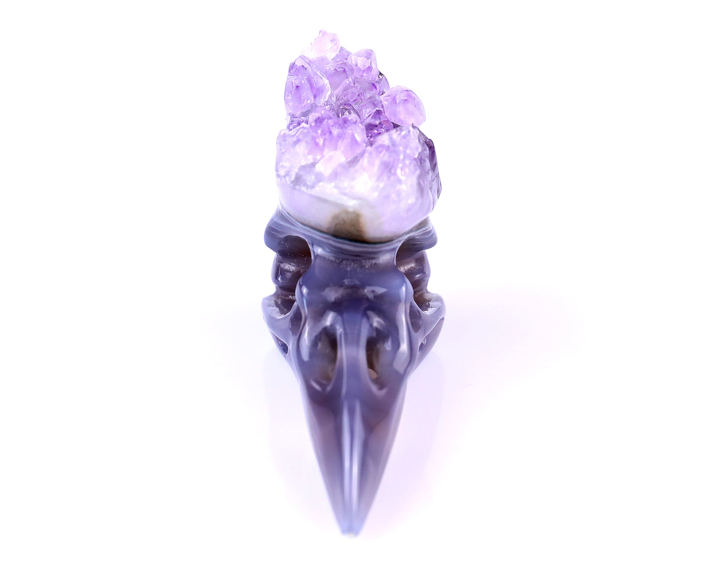 2.5" Amethyst Druse Agate Hand Carved Crystal Raven Skull Sculpture Crystallumi