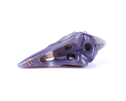 2.5" Amethyst Druse Agate Hand Carved Crystal Raven Skull Sculpture Crystallumi