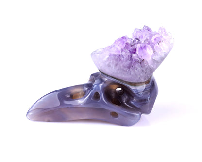 2.5" Amethyst Druse Agate Hand Carved Crystal Raven Skull Sculpture Crystallumi