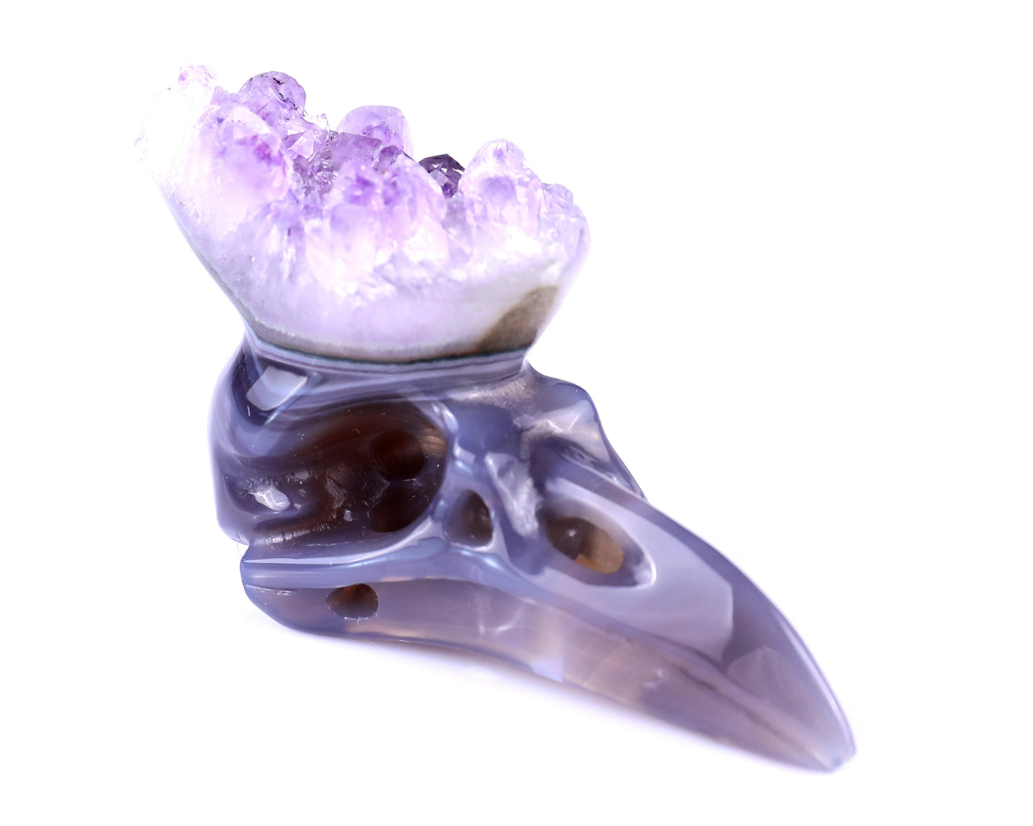 2.5" Amethyst Druse Agate Hand Carved Crystal Raven Skull Sculpture Crystallumi