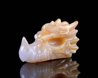 2.5" Chalcedony Hand Carved Crystal Dragon Skull Sculpture Crystallumi