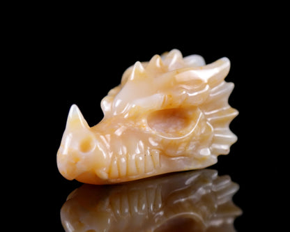 2.5" Chalcedony Hand Carved Crystal Dragon Skull Sculpture Crystallumi