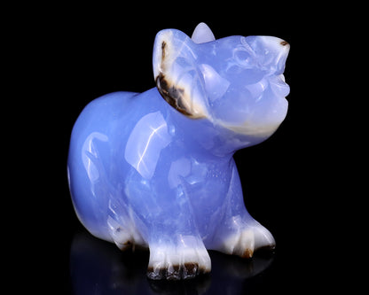 2.7" Blue Chalcedony Hand Carved Crystal Koala Sculpture Crystallumi