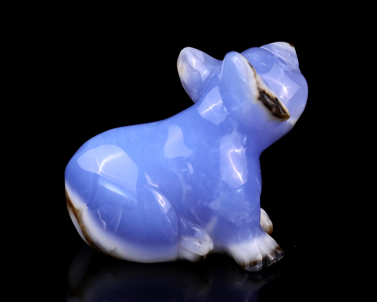 2.7" Blue Chalcedony Hand Carved Crystal Koala Sculpture Crystallumi