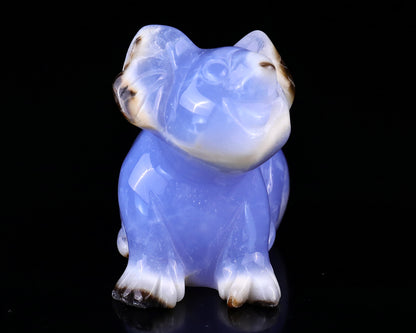 2.7" Blue Chalcedony Hand Carved Crystal Koala Sculpture Crystallumi