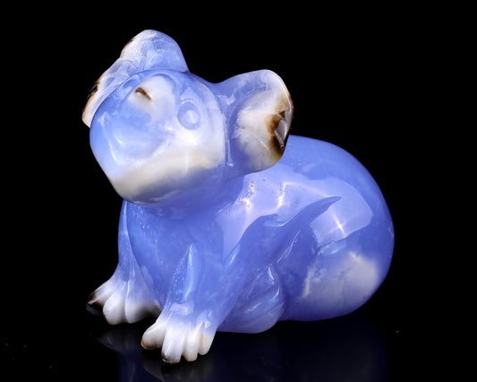 2.7" Blue Chalcedony Hand Carved Crystal Koala Sculpture Crystallumi