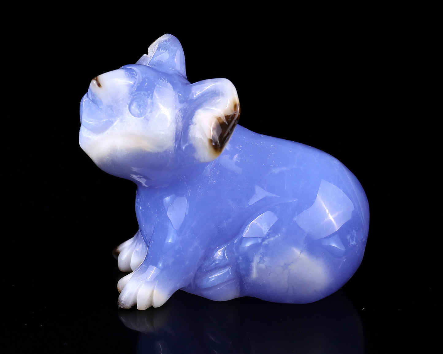 2.7" Blue Chalcedony Hand Carved Crystal Koala Sculpture Crystallumi