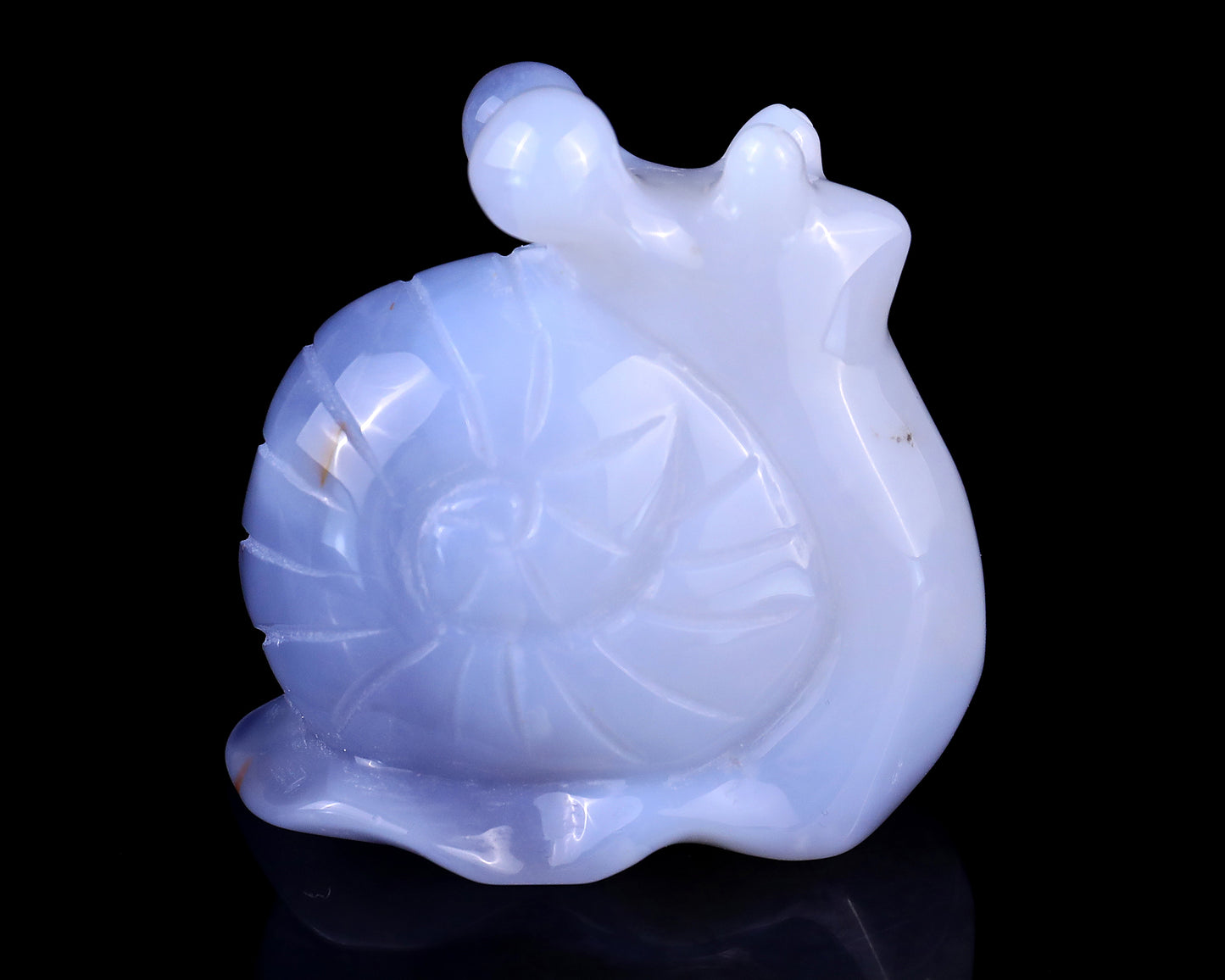 2.7" Blue Chalcedony Hand Carved Crystal Snail Sculpture Crystallumi