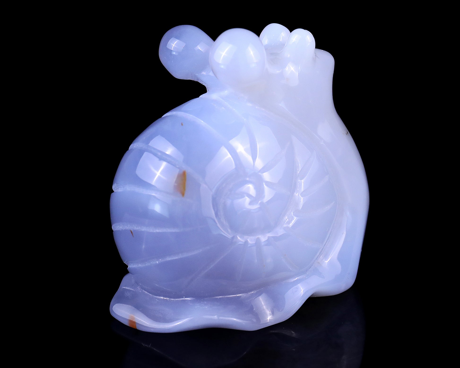 2.7" Blue Chalcedony Hand Carved Crystal Snail Sculpture Crystallumi