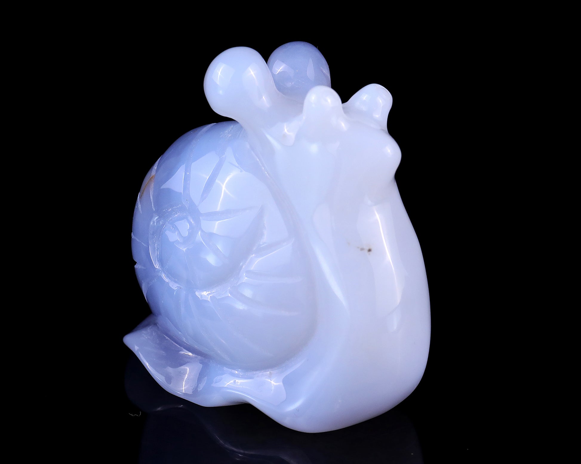 2.7" Blue Chalcedony Hand Carved Crystal Snail Sculpture Crystallumi