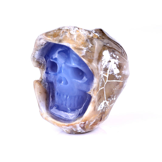 2.7" Blue Chalcedony Hand Carved Mineral Specimen Skull Sculpture Crystallumi