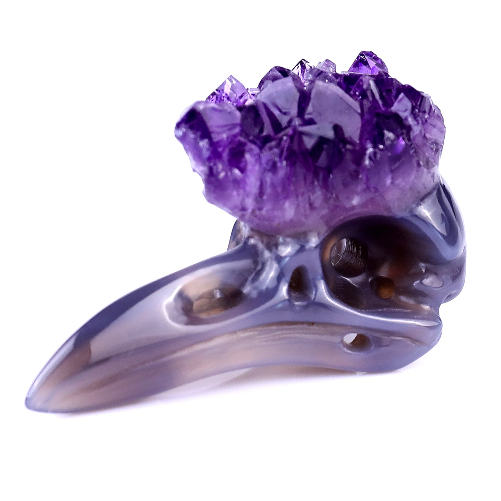 2.8" Amethyst Druse Agate Hand Carved Crystal Raven Skull Sculpture Crystallumi