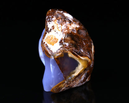 2.8" Blue Chalcedony Hand Carved Mineral Specimen Skull Sculpture Crystallumi