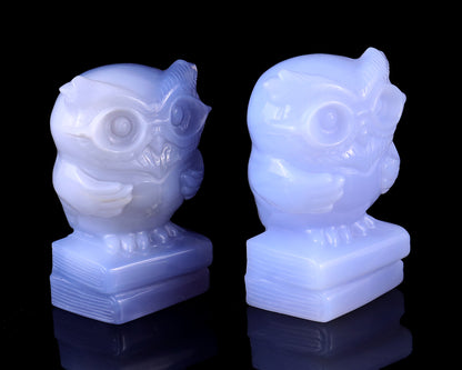 2.9" Blue Chalcedony Hand Carved Crystal Owl Sculpture Crystallumi