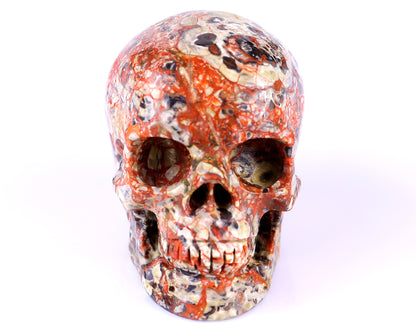 2.9" Coin Agate Hand Carved Crystal Realistic Skull Sculpture Crystallumi