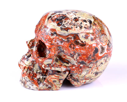 2.9" Coin Agate Hand Carved Crystal Realistic Skull Sculpture Crystallumi