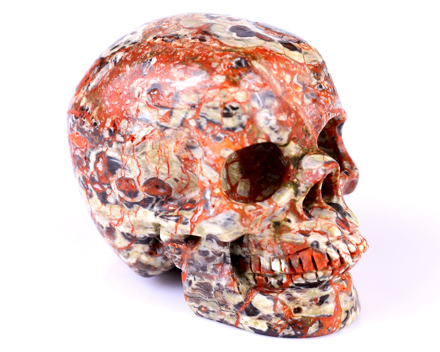 2.9" Coin Agate Hand Carved Crystal Realistic Skull Sculpture Crystallumi