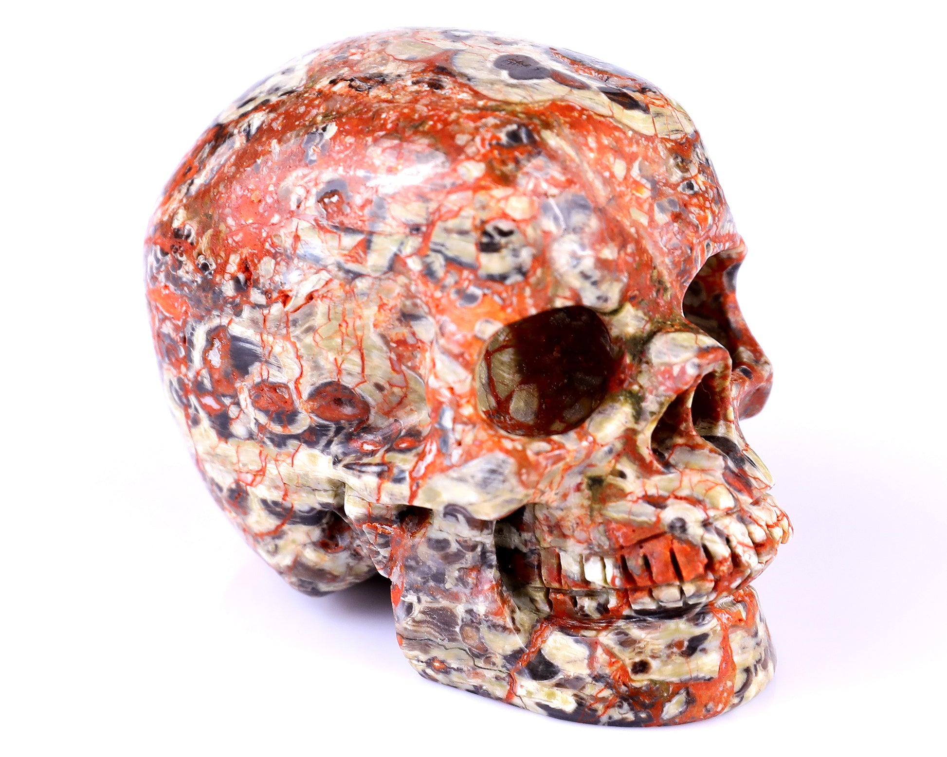 2.9" Coin Agate Hand Carved Crystal Realistic Skull Sculpture Crystallumi