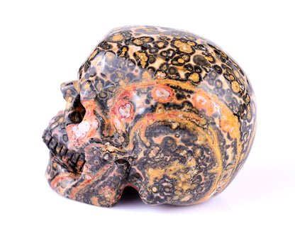 2.9" Leopard Skin Jasper Hand Carved Crystal Realistic Skull Sculpture Crystallumi