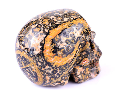 2.9" Leopard Skin Jasper Hand Carved Crystal Realistic Skull Sculpture Crystallumi