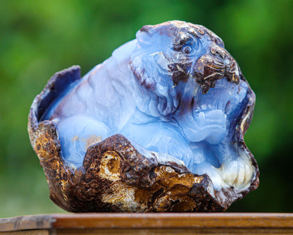 7.9" Blue Chalcedony Hand Carved Crystal Tiger Sculpture