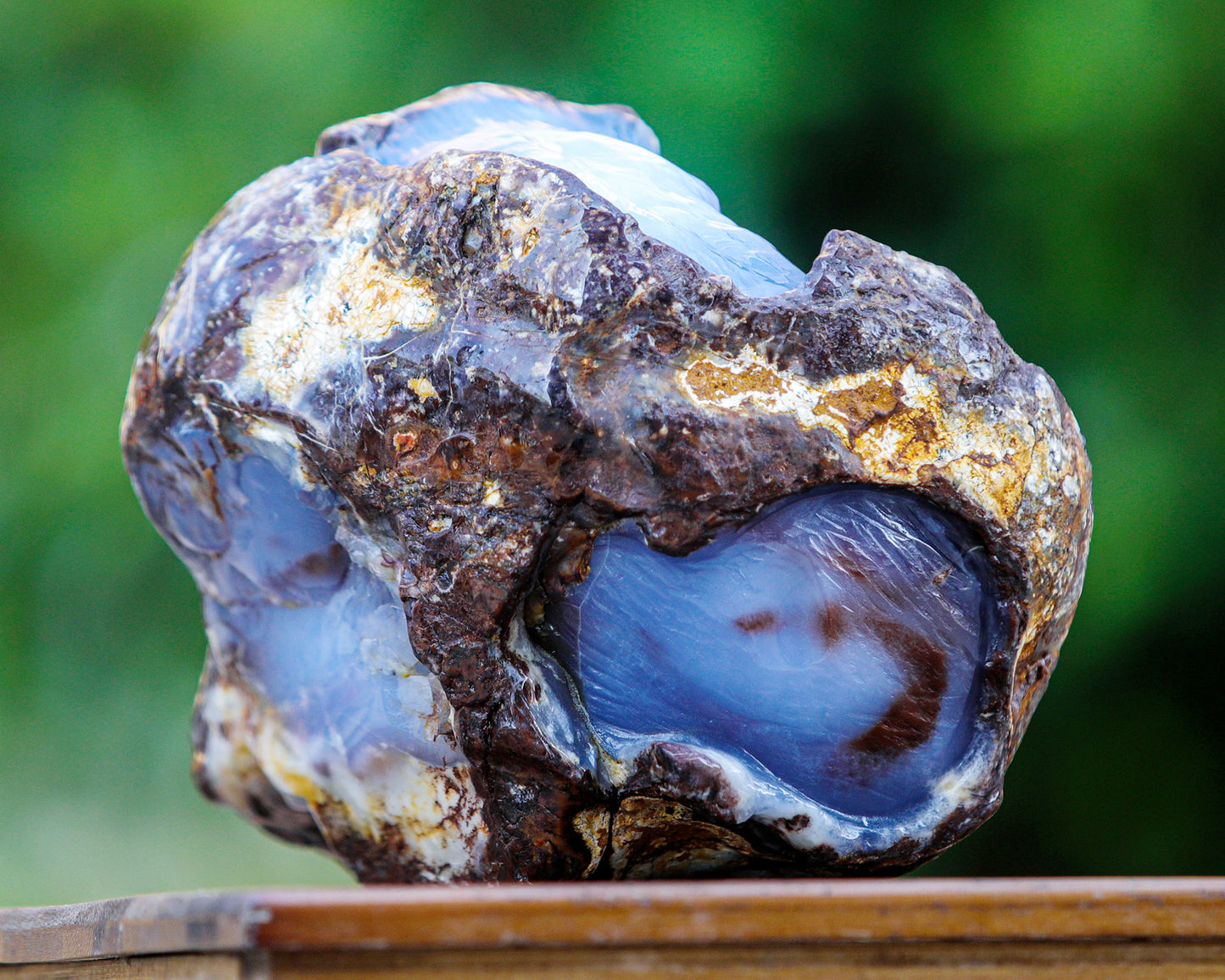 7.9" Blue Chalcedony Hand Carved Crystal Tiger Sculpture