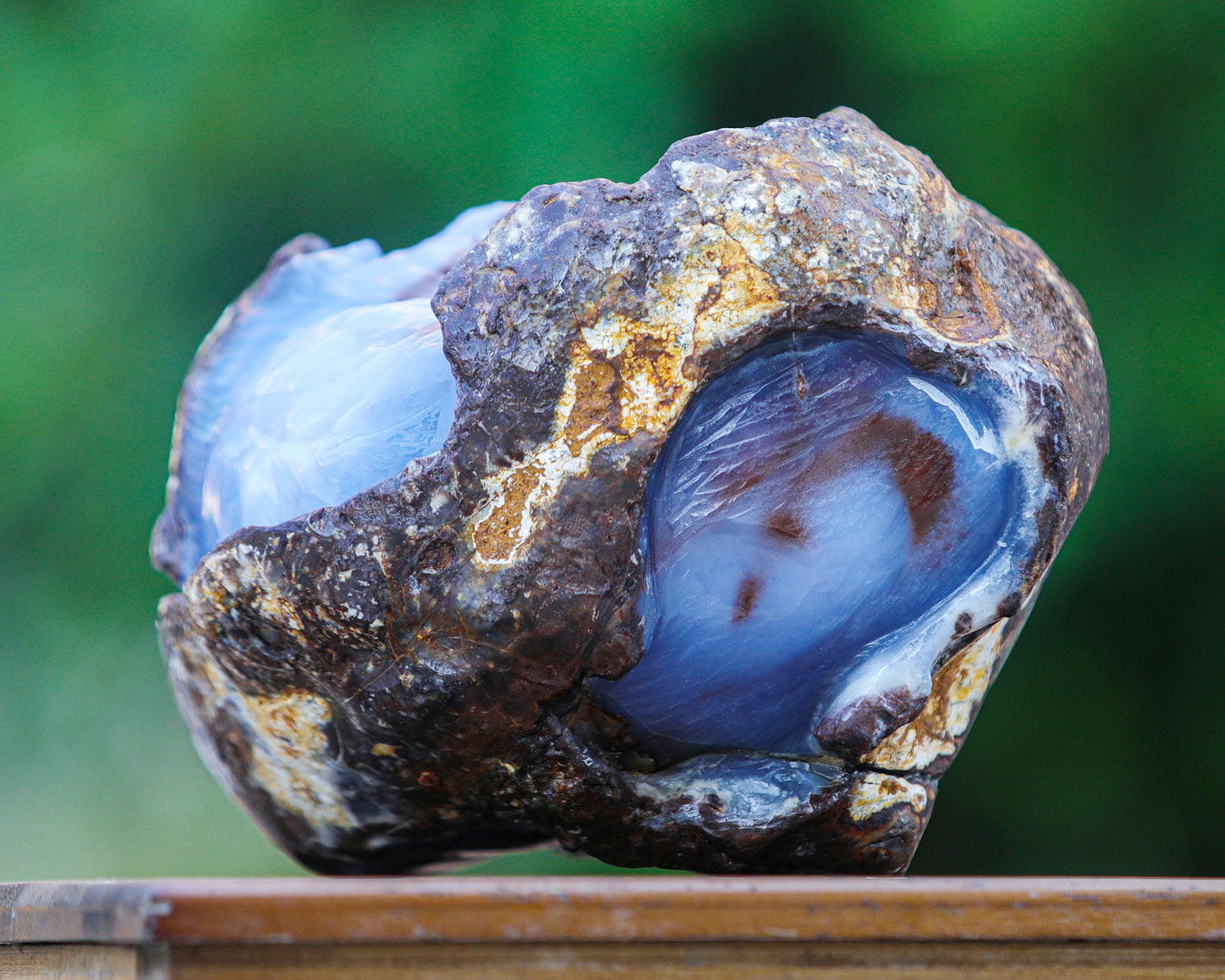 7.9" Blue Chalcedony Hand Carved Crystal Tiger Sculpture