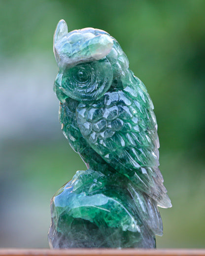 6.9" Fluorite Hand Carved Crystal Owl Sculpture