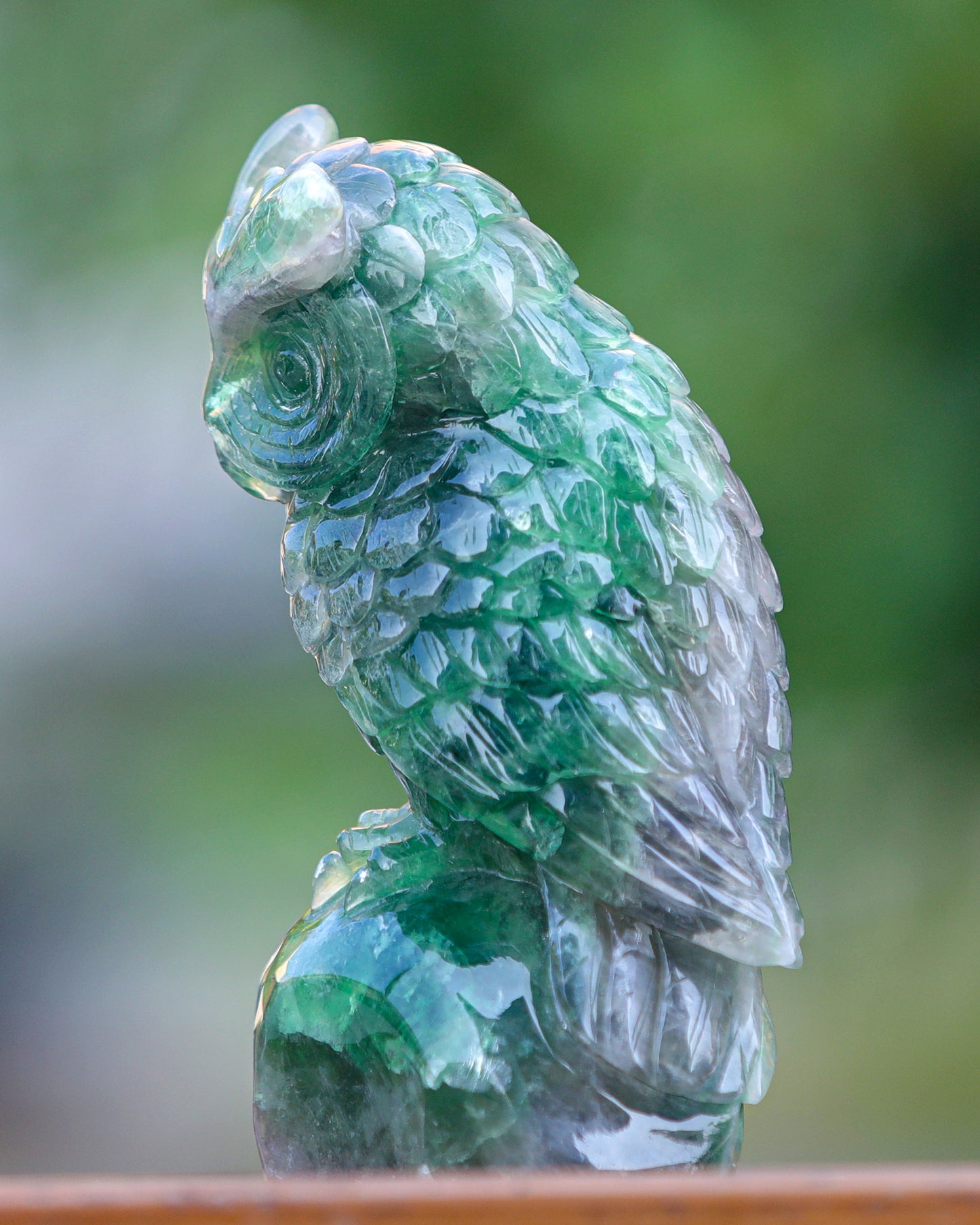 6.9" Fluorite Hand Carved Crystal Owl Sculpture