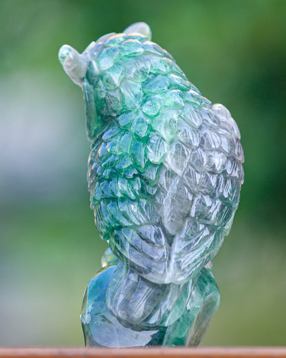 6.9" Fluorite Hand Carved Crystal Owl Sculpture