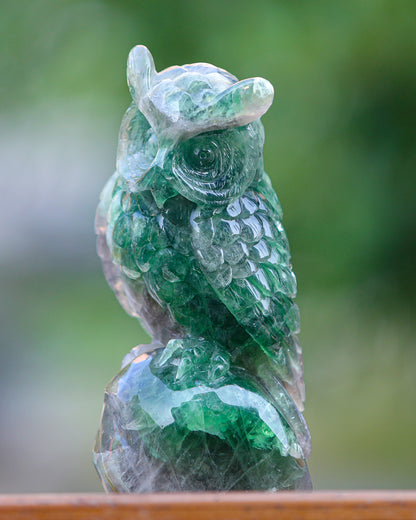 6.9" Fluorite Hand Carved Crystal Owl Sculpture