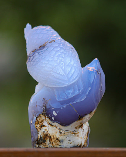 6.5" Blue Chalcedony Hand Carved Crystal Owl Sculpture