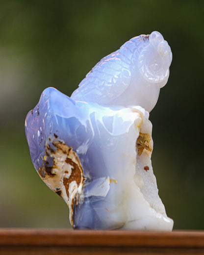 6.5" Blue Chalcedony Hand Carved Crystal Owl Sculpture