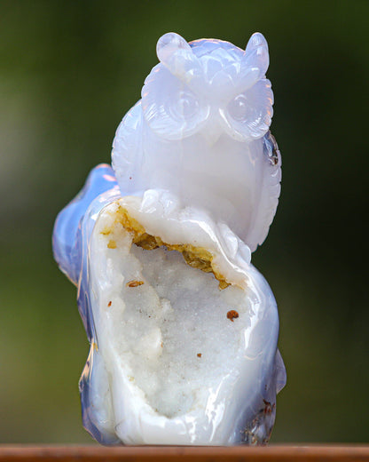 6.5" Blue Chalcedony Hand Carved Crystal Owl Sculpture