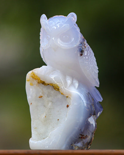 6.5" Blue Chalcedony Hand Carved Crystal Owl Sculpture