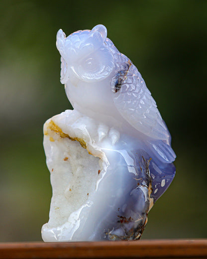 6.5" Blue Chalcedony Hand Carved Crystal Owl Sculpture