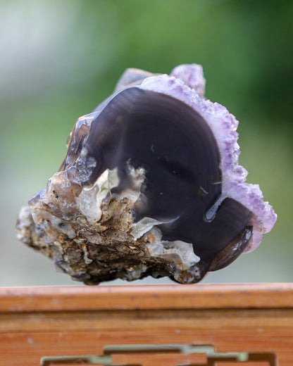 Unique 6.6" Amethyst Geode Agate Hand Carved Crystal Skull and Snake Sculpture