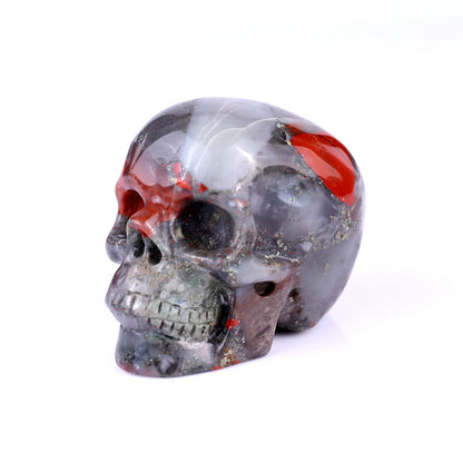 3.0" African Blood Stone Hand Carved Crystal Realistic Skull Sculpture Crystallumi