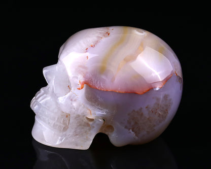 3.0" Agate Hand Carved Crystal Realistic Skull Sculpture Crystallumi