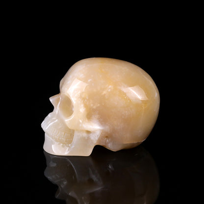 3.0" Agate Hand Carved Crystal Realistic Skull Sculpture Crystallumi