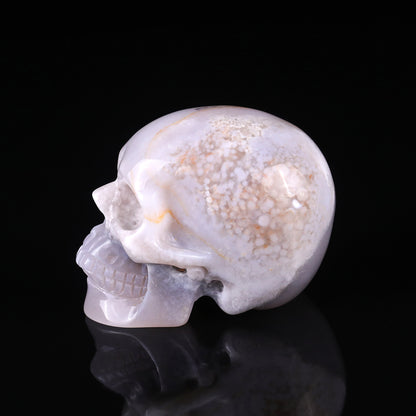 3.0" Agate Hand Carved Crystal Realistic Skull Sculpture Crystallumi