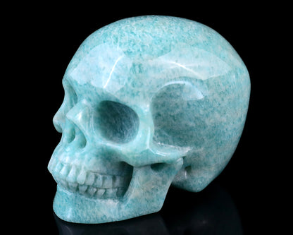 3.0" Amazonite Hand Carved Crystal Realistic Skull Sculpture Crystallumi