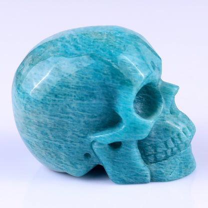 3.0" Amazonite Hand Carved Crystal Realistic Skull Sculpture Crystallumi